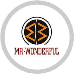 MR Wonderful